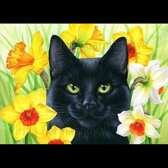 bossiecat38